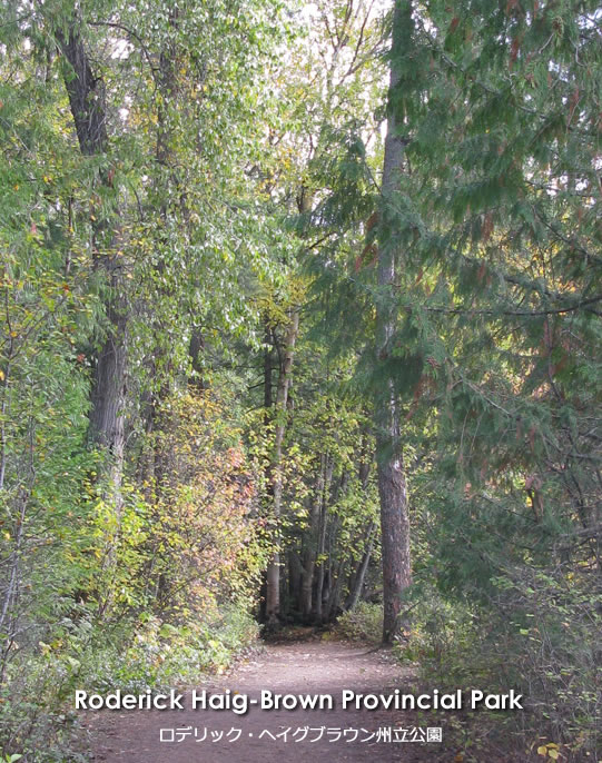 Roderick Haig-Brown Provincial Park