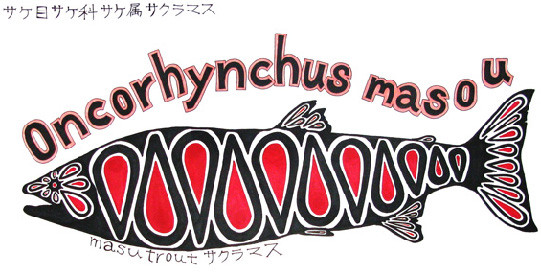 oncorhynchus　masou　サクラマス